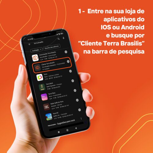 App Terra Brasilis