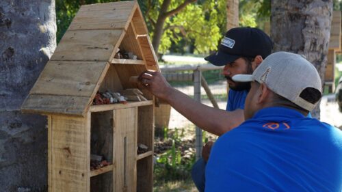 homens trabalhando com casas de pássaros