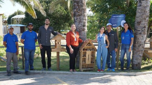 equipe do projeto de casas de pássaros